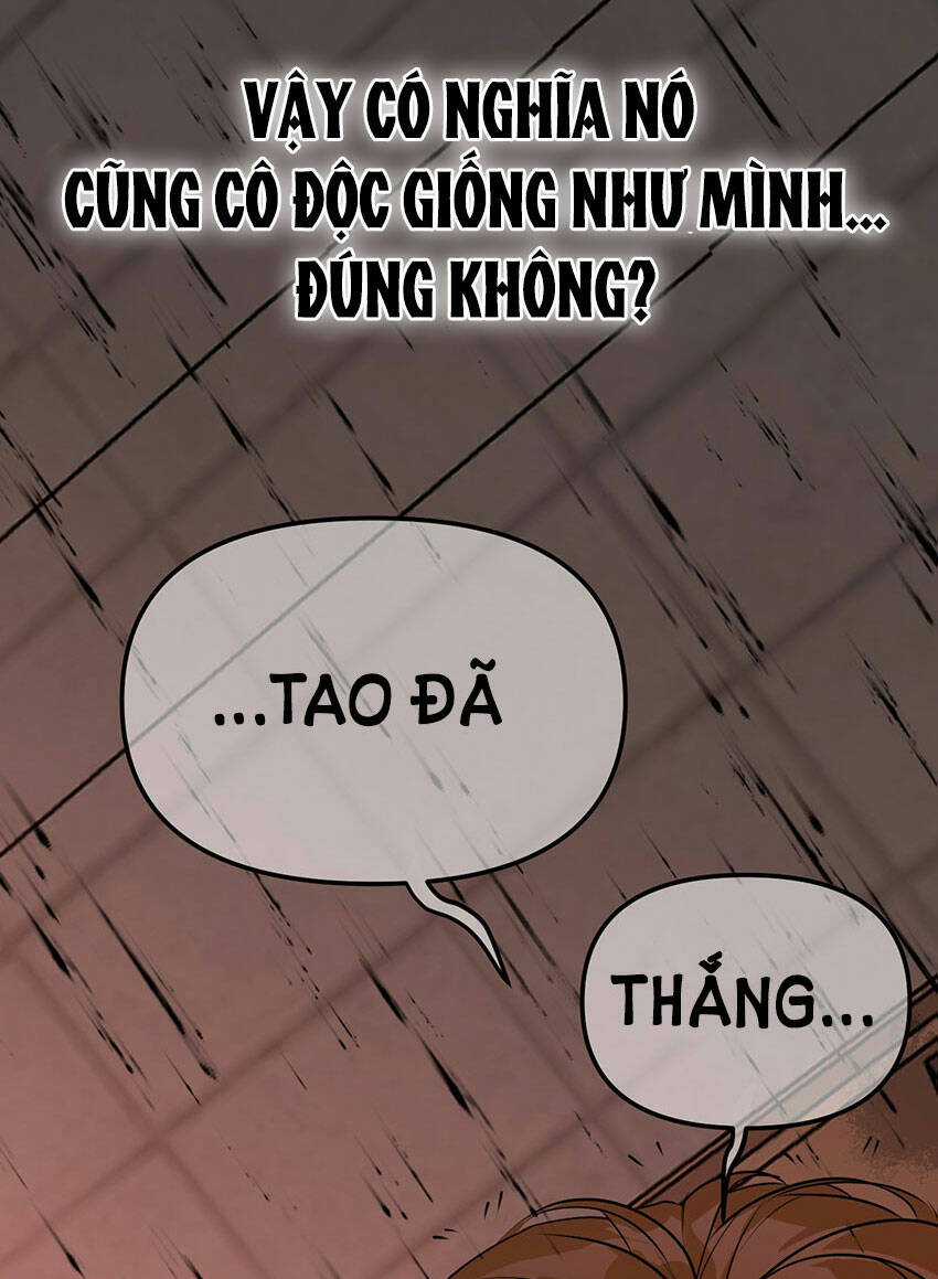 Ác Ma May Mắn Chapter 65 trang 42