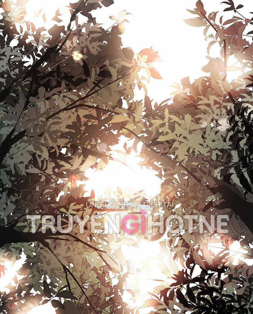 Ác Ma May Mắn Chapter 68 trang 25