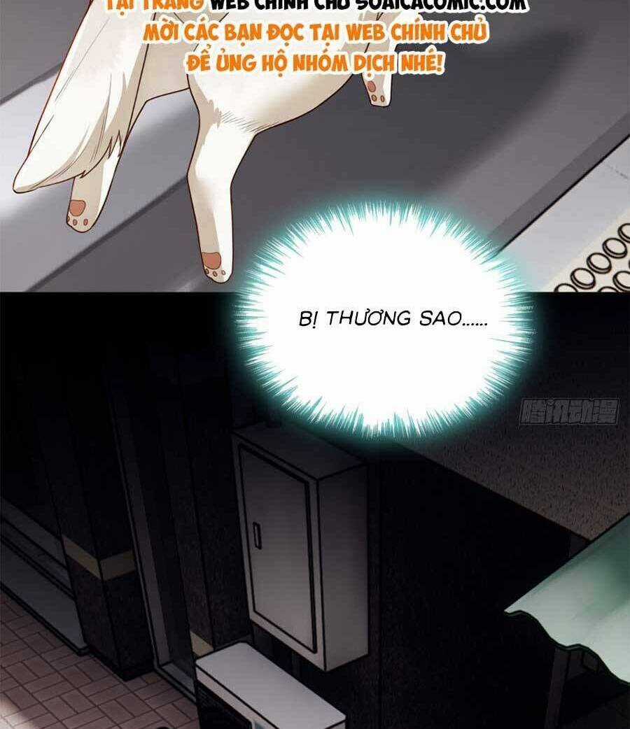 Ác Ma Thì Thầm Chapter 165 trang 29