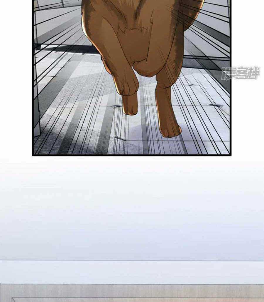 Ác Ma Thì Thầm Chapter 170 trang 17