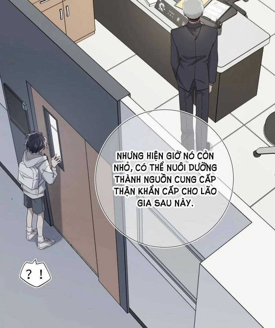 Ác Nữ Cự Tuyệt Cua Nam Chính Chapter 102 trang 21