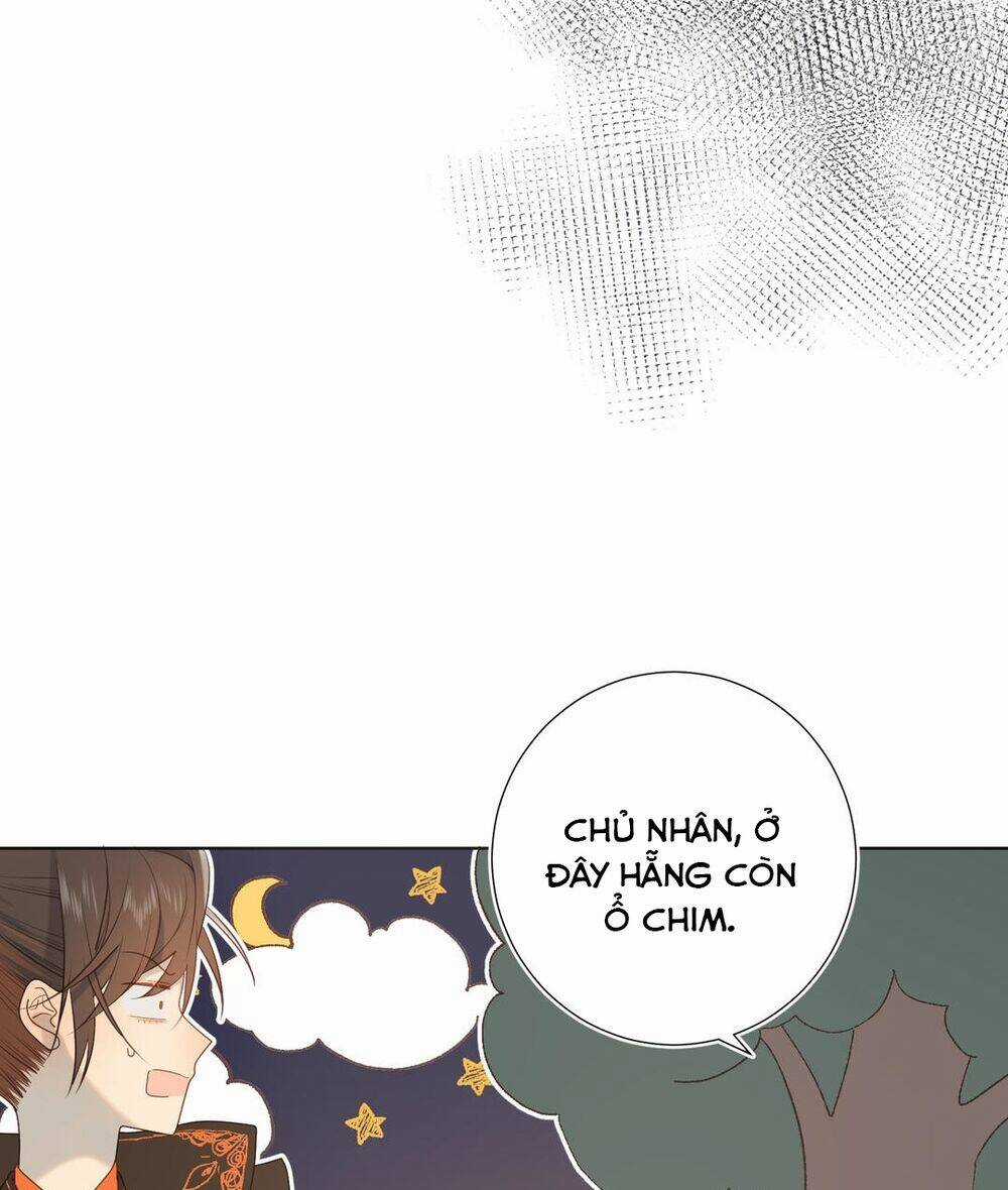 Ác Nữ Cự Tuyệt Cua Nam Chính Chapter 13 trang 29