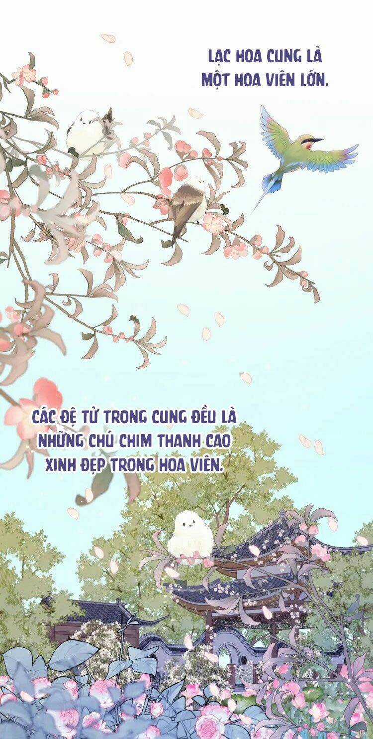 Ác Nữ Cự Tuyệt Cua Nam Chính Chapter 22 trang 1