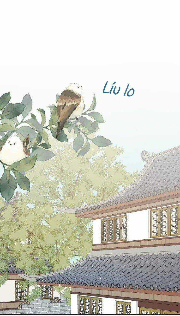 Ác Nữ Cự Tuyệt Cua Nam Chính Chapter 24 trang 1