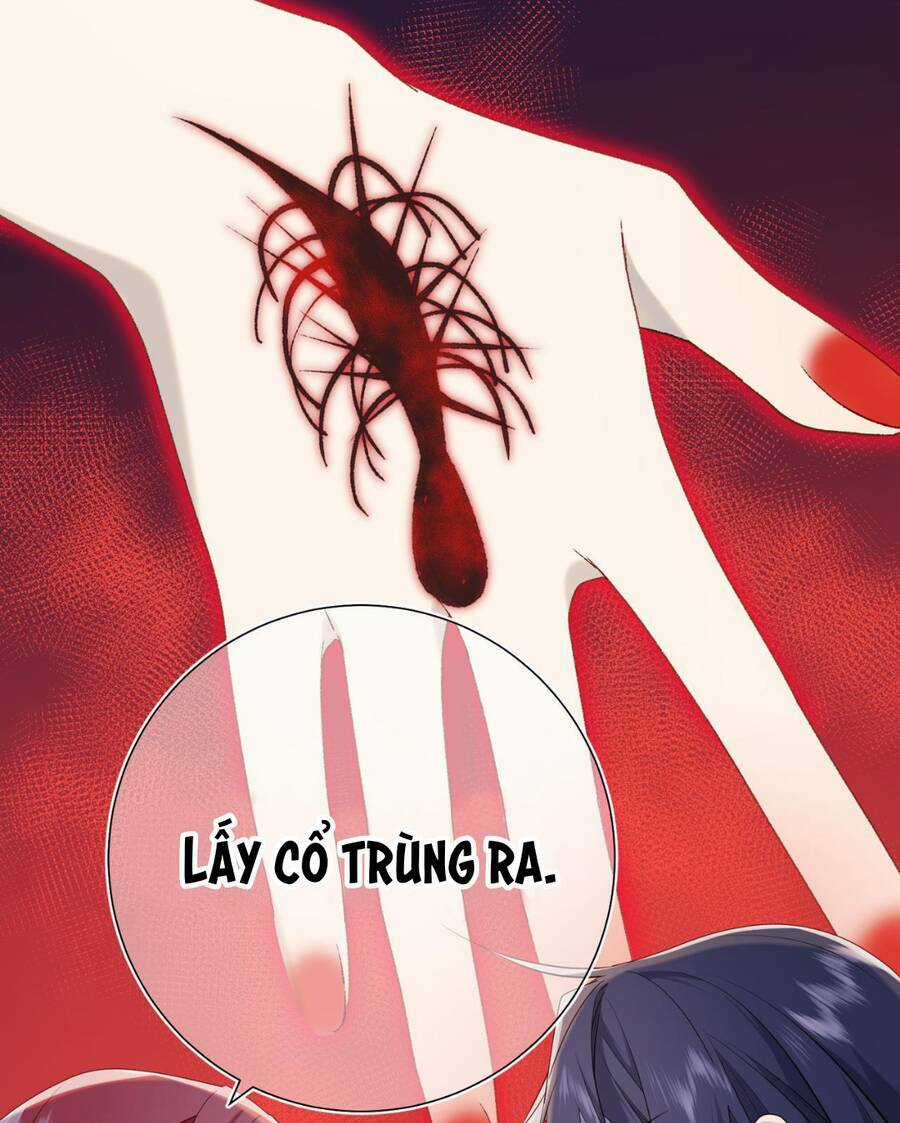 Ác Nữ Cự Tuyệt Cua Nam Chính Chapter 79 trang 53