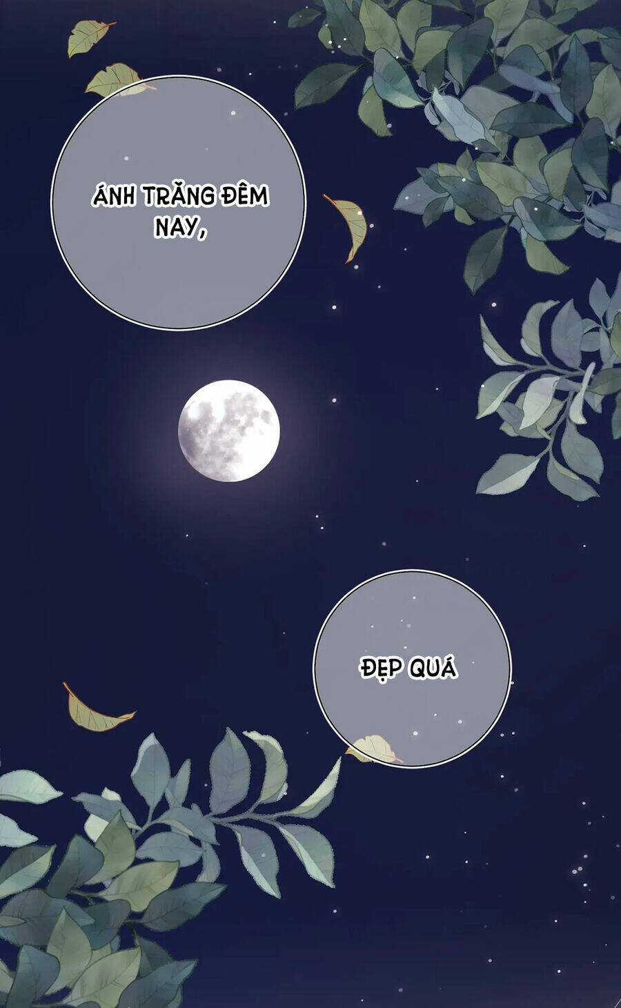 Ác Nữ Cự Tuyệt Cua Nam Chính Chapter 96 trang 38