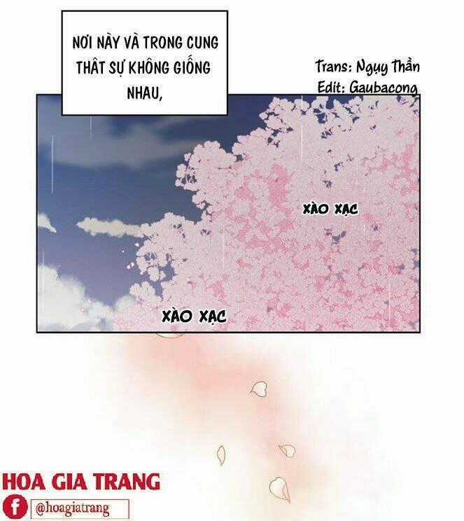 Ác Nữ Hoàng Hậu Chapter 71 trang 1