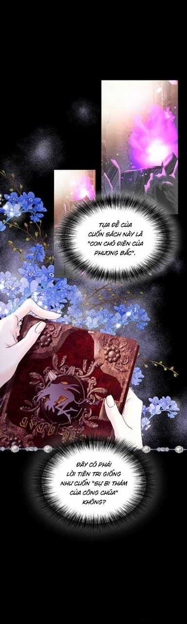 Ác Nữ Thuần Hóa Ác Quỷ Điên Rồ Chương 3 trang 17