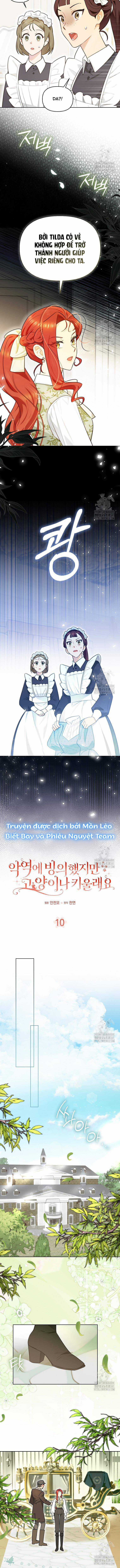 Ác Nữ Trở Thành Miêu Nô Chapter 10 trang 4