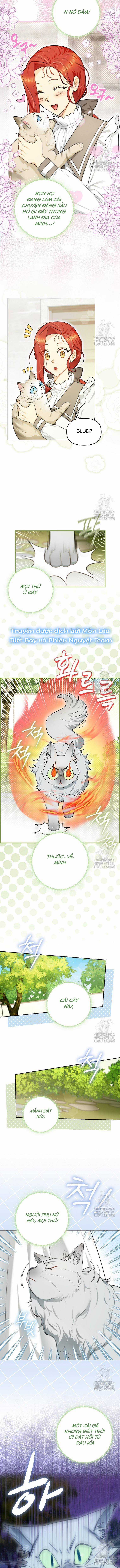 Ác Nữ Trở Thành Miêu Nô Chapter 13 trang 11