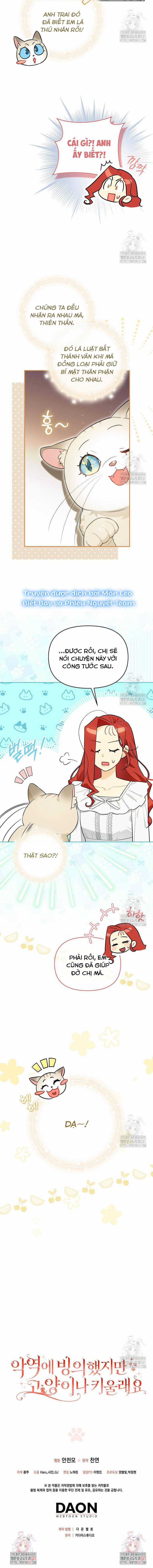 Ác Nữ Trở Thành Miêu Nô Chapter 14 trang 12