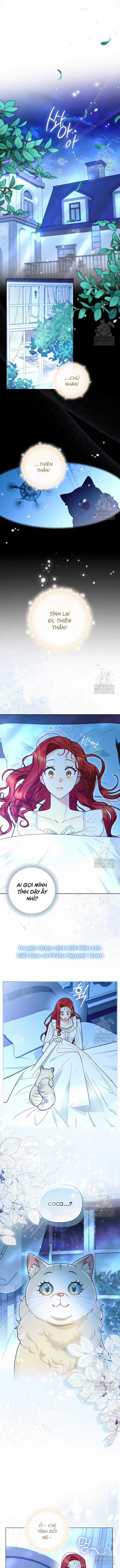 Ác Nữ Trở Thành Miêu Nô Chapter 14 trang 6