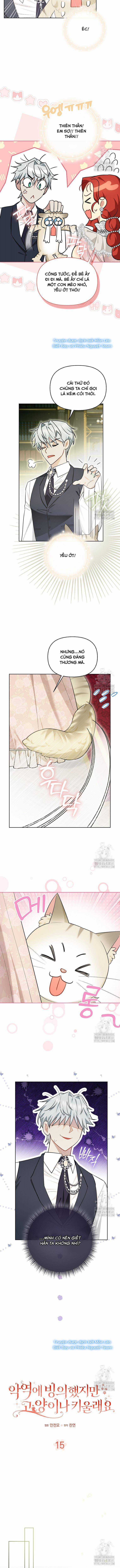 Ác Nữ Trở Thành Miêu Nô Chapter 15 trang 3