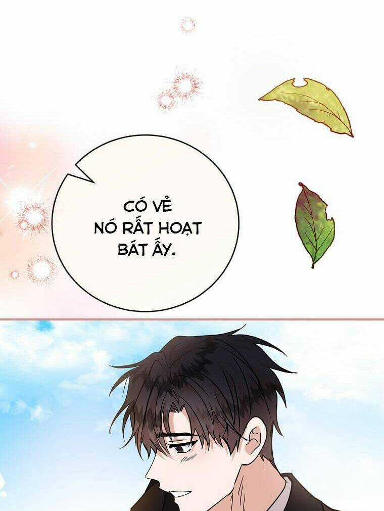 Ác Nữ Trùng Sinh Chapter 152 trang 101