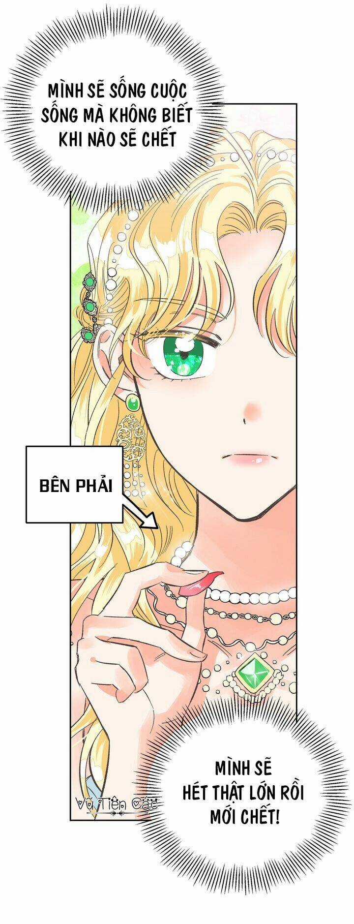 Ác Nữ Xứng Đôi Với Bạo Chúa Chapter 2 trang 15