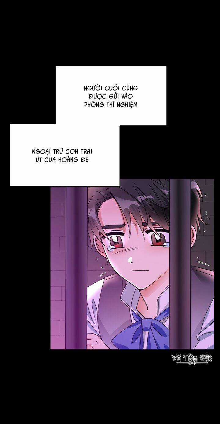 Ác Nữ Xứng Đôi Với Bạo Chúa Chapter 38 trang 51