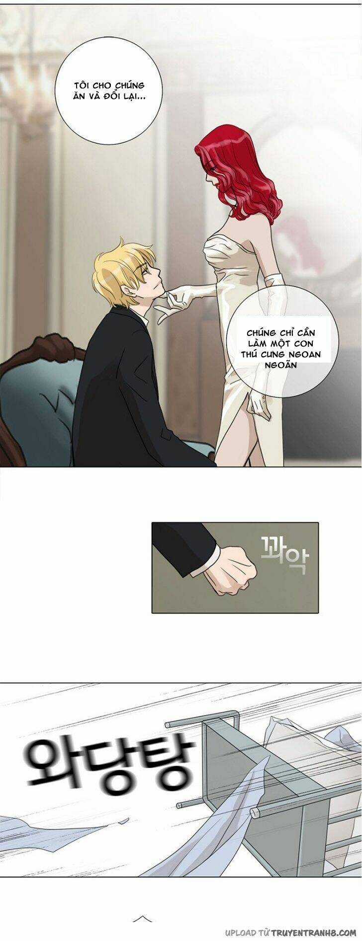 Accord Chapter 5 trang 15