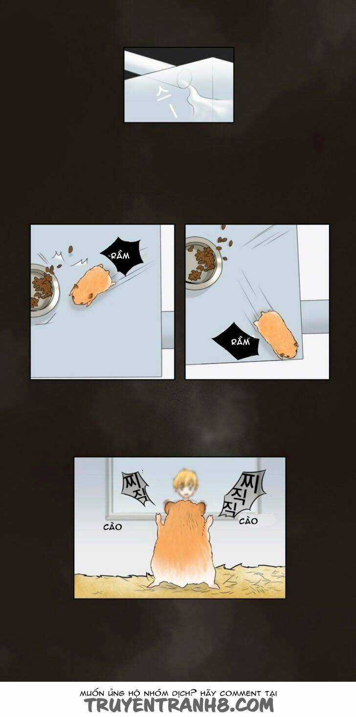 Accord Chapter 9 trang 14