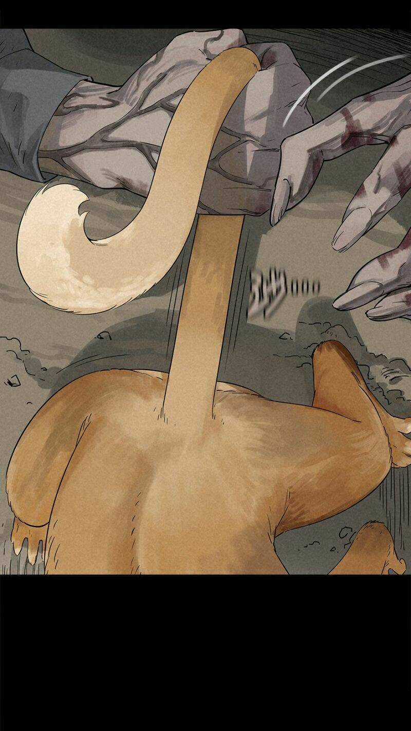 Ách Thế Quỹ Tích Chapter 25 trang 31