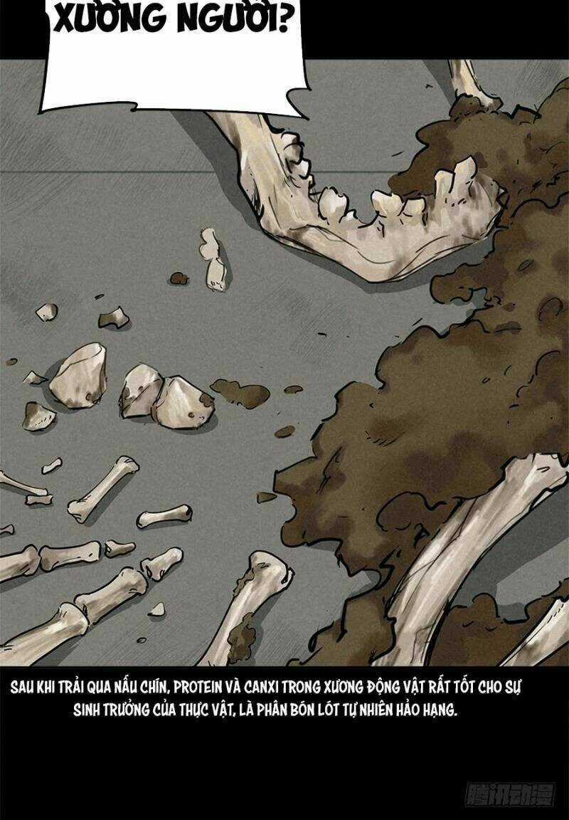 Ách Thế Quỹ Tích Chapter 38 trang 30