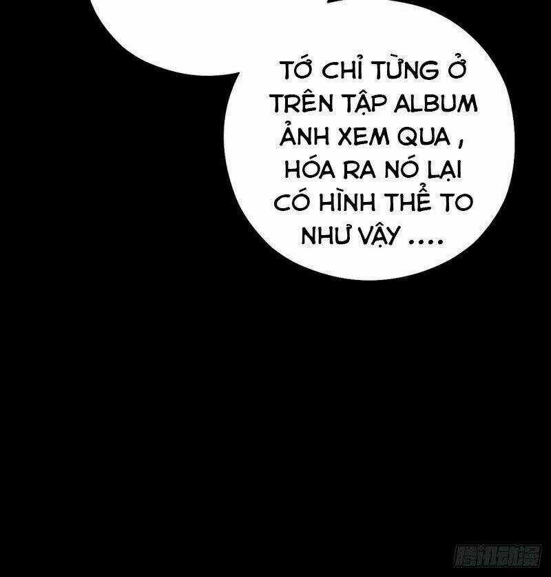 Ách Thế Quỹ Tích Chapter 57 trang 6