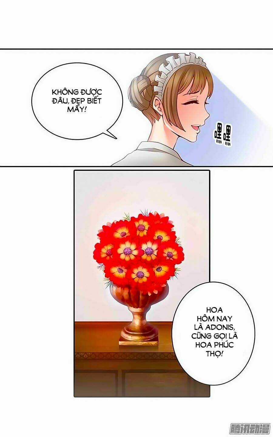 Adonis Chapter 2 trang 23