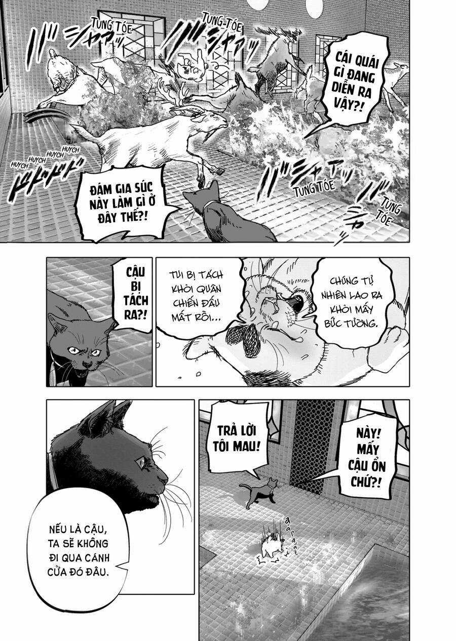 After God Chapter 41 trang 12