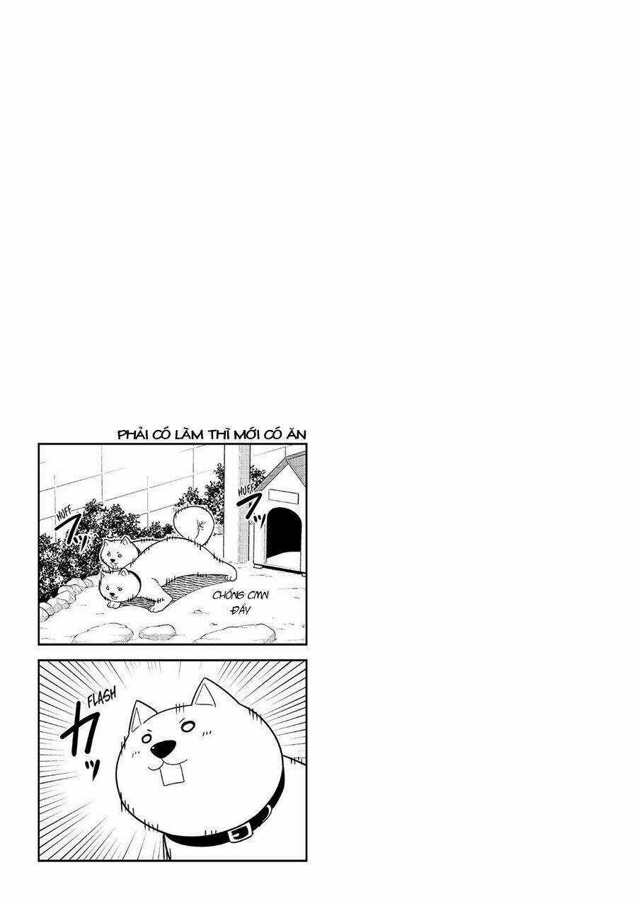 Aho Girl Chapter 121 trang 25