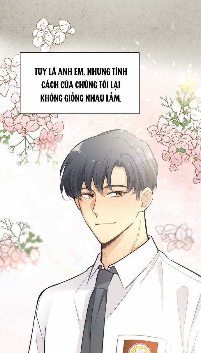 Ai Là Ngài Hiệu Trưởng Chapter 33 trang 29