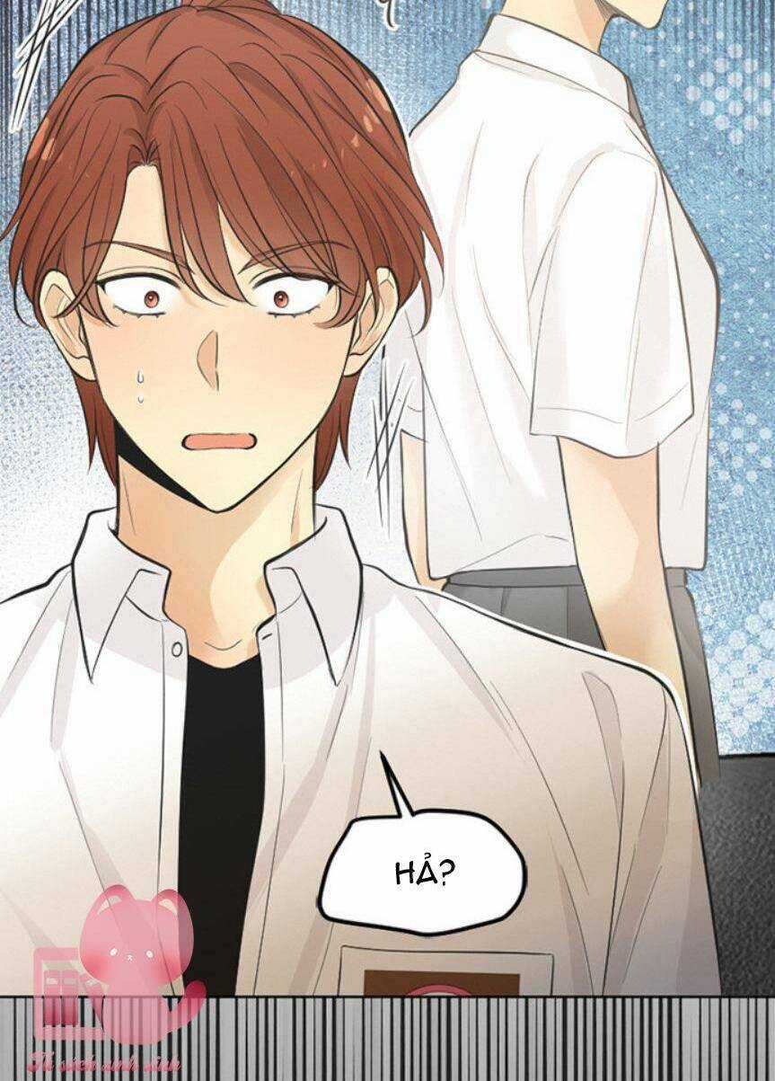 Ai Là Ngài Hiệu Trưởng Chapter 38 trang 42