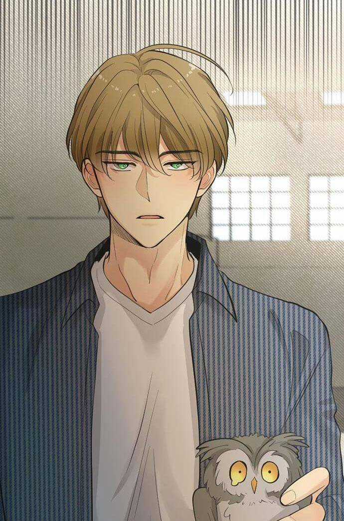 Ai Là Ngài Hiệu Trưởng Chapter 64 trang 33