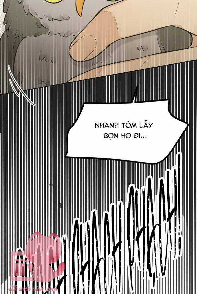 Ai Là Ngài Hiệu Trưởng Chapter 67 trang 28