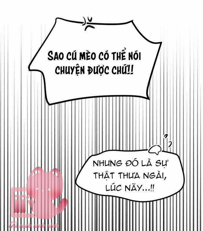 Ai Là Ngài Hiệu Trưởng Chapter 68 trang 23