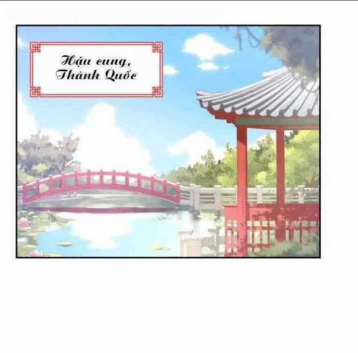 Ái Phi, Dao Của Nàng Rơi Rồi Chapter 1 trang 0