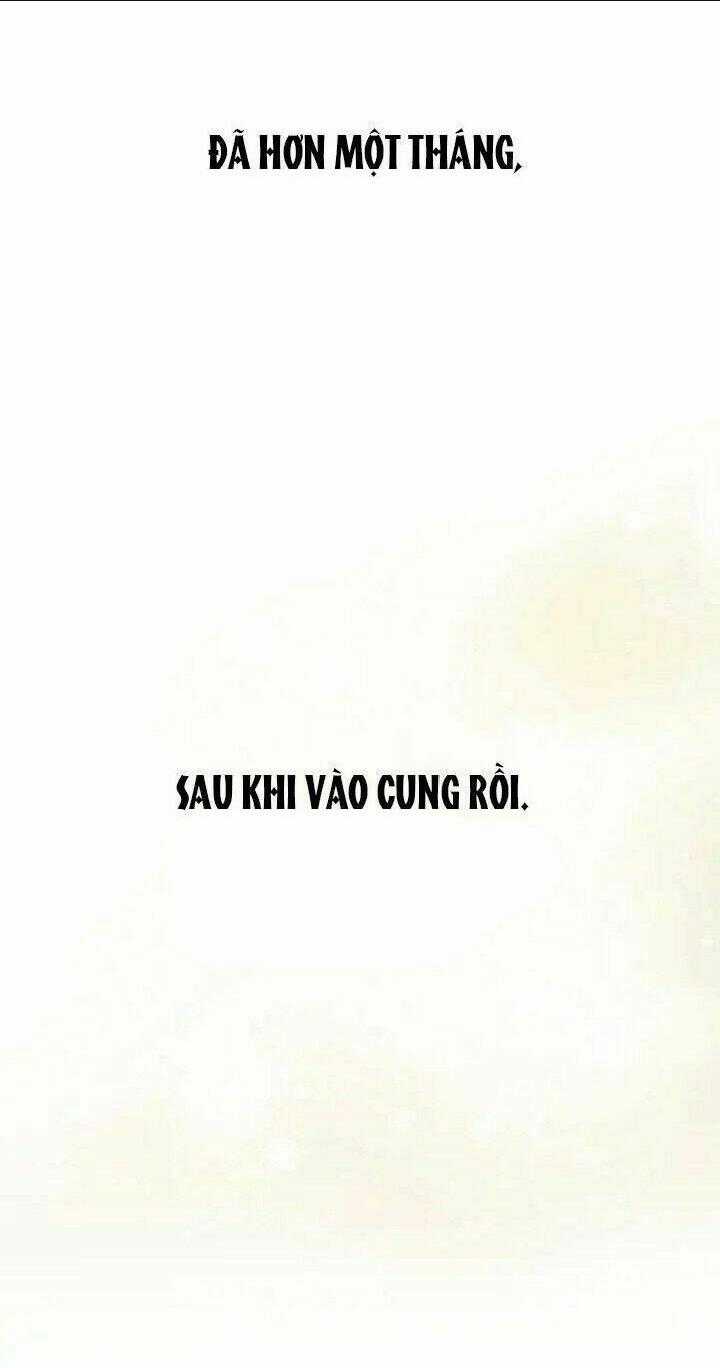 Ái Phi, Dao Của Nàng Rơi Rồi Chapter 3 trang 0
