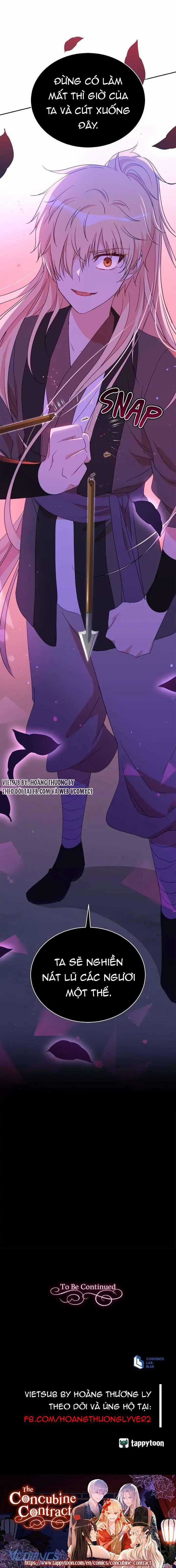 Ái Phi Khế Ước Chapter 108 trang 11