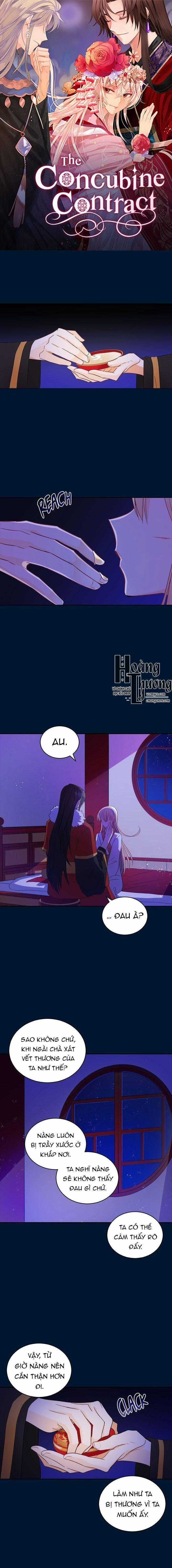 Ái Phi Khế Ước Chapter 30 trang 1