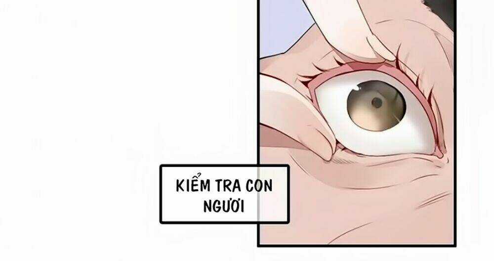 Ái Thượng Ngạo Kiều Long Vương Gia Chapter 1 trang 27