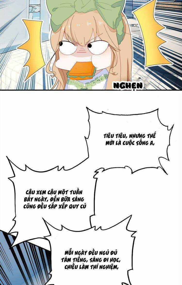 Ái Thượng Ngạo Kiều Long Vương Gia Chapter 5 trang 29