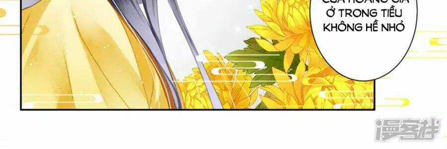 Ái Thượng Vô Địch Tiếu Hoàng Hậu Chapter 95 trang 7