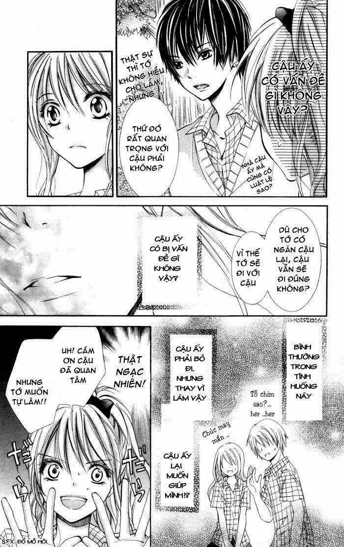 Air Koi Chapter 1 trang 14