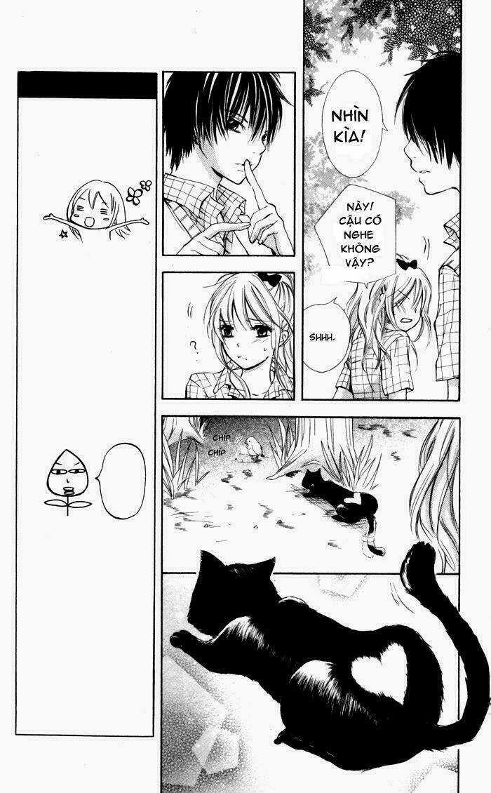 Air Koi Chapter 1 trang 22