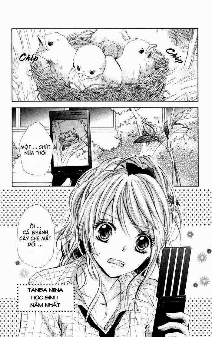 Air Koi Chapter 1 trang 7