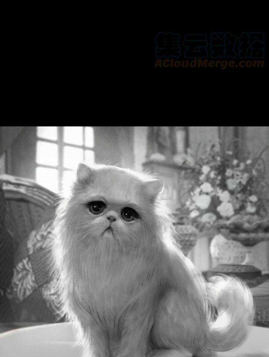 Aisha Chapter 14 trang 3