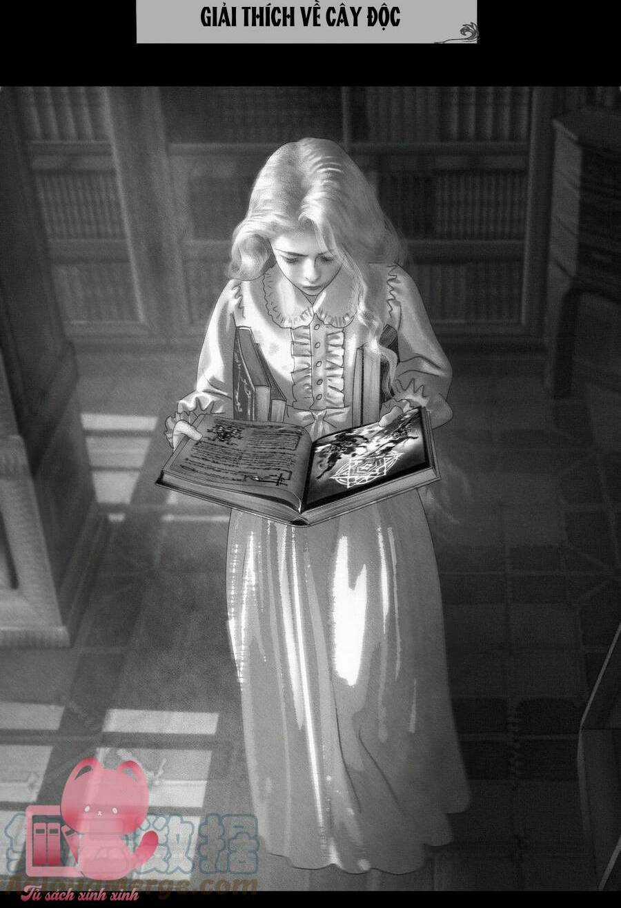 Aisha Chapter 17 trang 37