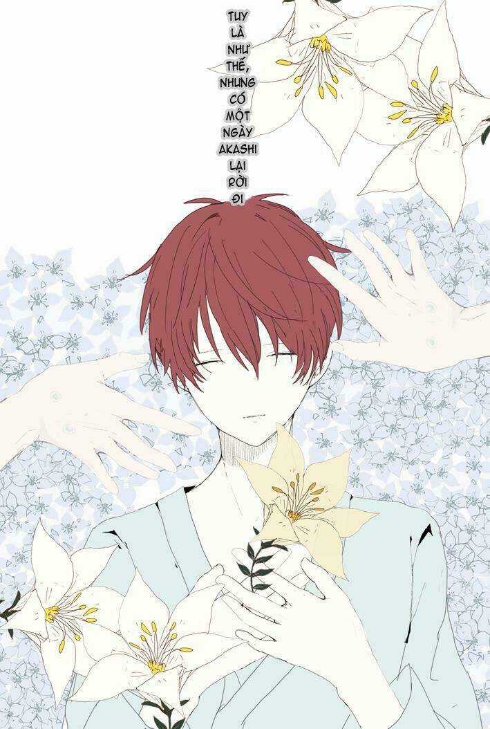 AkaKise - KnB Short Doujinshi Chapter 34 trang 6