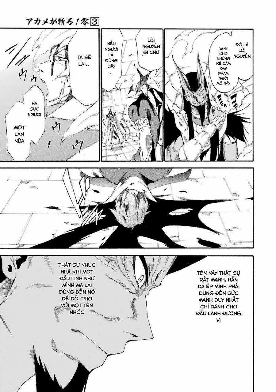 Akame Ga Kill! Zero Chapter 20 trang 29