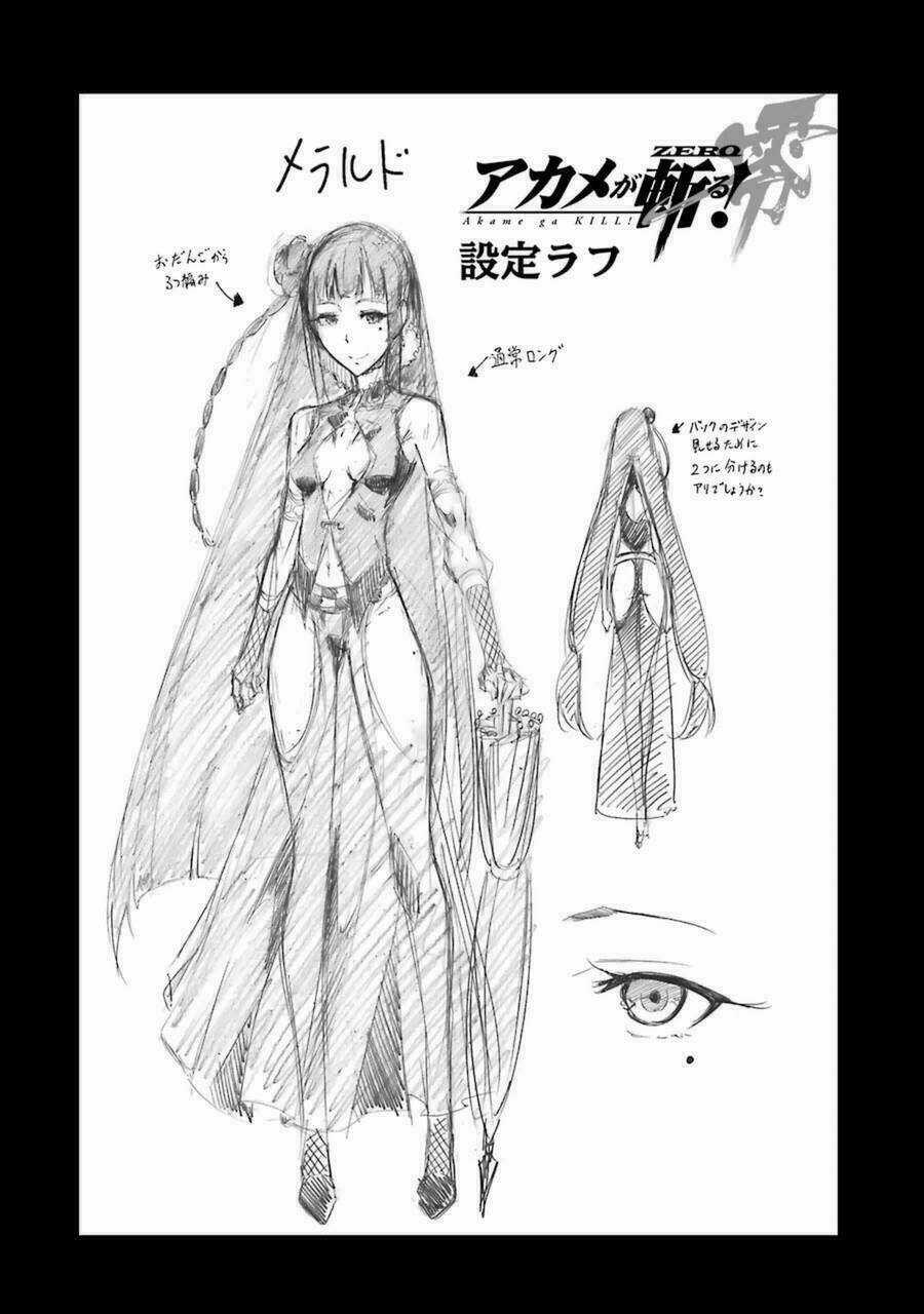 Akame Ga Kill! Zero Chapter 29 trang 29