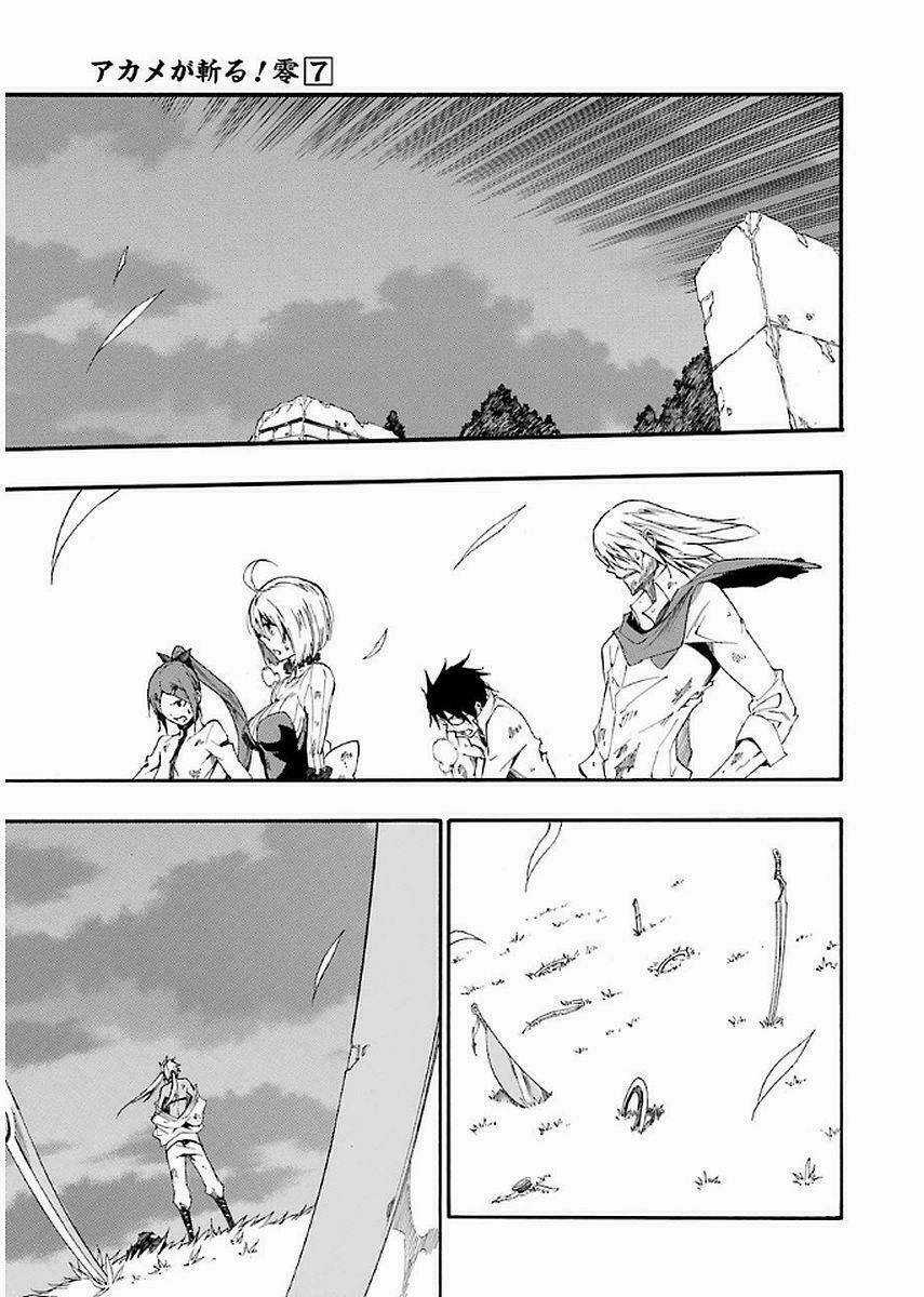 Akame Ga Kill! Zero Chapter 42.5 trang 2