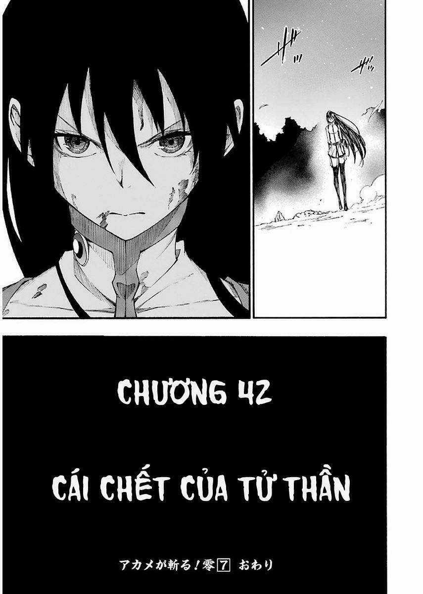 Akame Ga Kill! Zero Chapter 42.5 trang 28